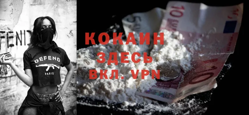 купить   Лихославль  COCAIN Fish Scale 